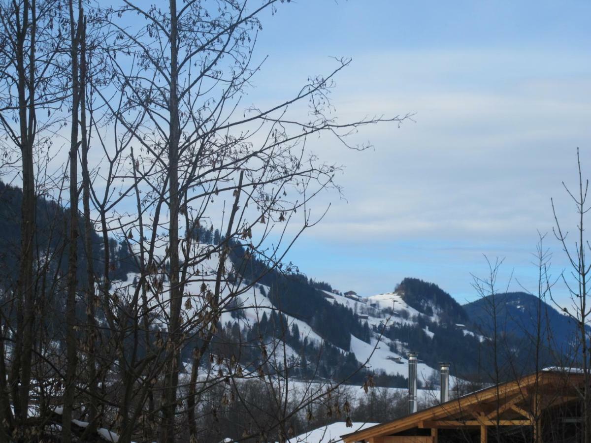 Landhaus Erharter Kitzbühel Dış mekan fotoğraf